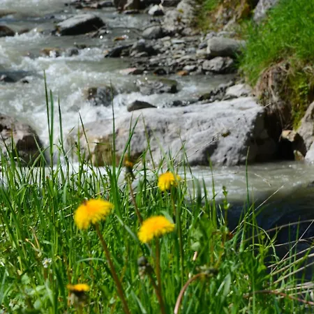 Dahoam By Sarina - & 3*