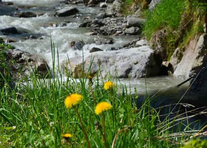 Dahoam By Sarina - & 3*